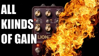 Universal Audio Lion - Dialing up high gain sounds