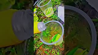 Download lagu #bacardi #saraku mp3