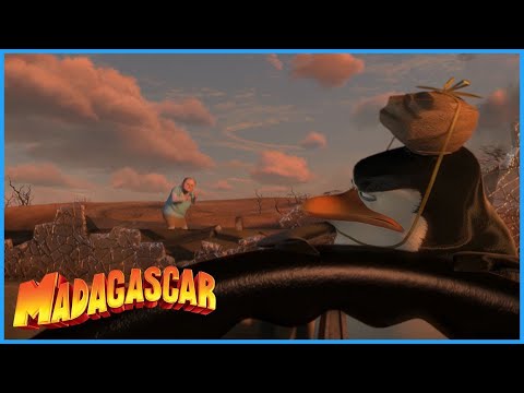 DreamWorks Madagascar | Operation Tourist Trap | Madagascar: Escape 2 Africa Movie Clip