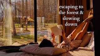 A Cozy Forest Retreat 🌲 | Escaping to Reflections Airbnb in Hocking Hills