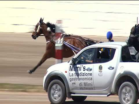 Trotto 30/04/2019 - 1ª corsa