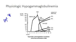 B cell Immunodeficiencies