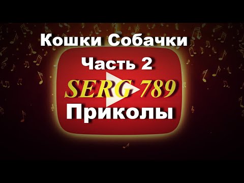 🔴Кошки Собаки Приколы.(Часть 2)✅ 🙂 👍 🐱.