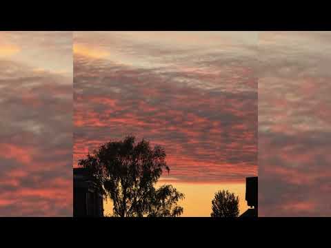 HVNS x EMILY J - leia mind siit