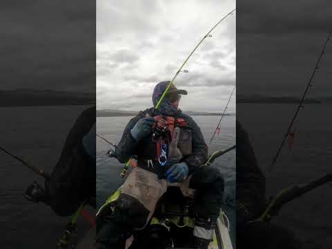 pesca variada en kayak Huasco 3 region.