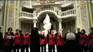 Leonardo dreams of his flying machine (E.Whitacre) - JanuaVox