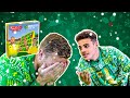 NCFC x GUESS WHO | Aarons, Gibson, Hugill and Tettey play Norwich City Guess Who
