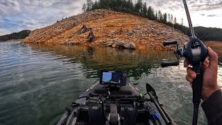 What fishing dreams are made of (Lake Shasta)
