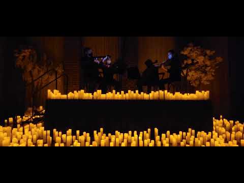A Tale as Old as Time (Beauty and the Beast) - Fever Candlelight Concert