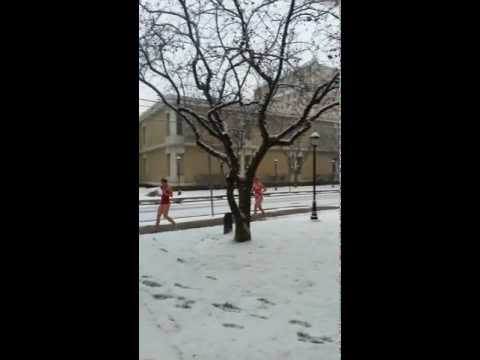 2013 King's Swimming Speedo Run