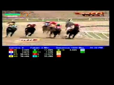 LA RINCONADA 8 CARRERA DOMINGO 11 D EMAYO DEL 2014