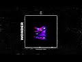 FREE Post Malone Type Beat Wonder
