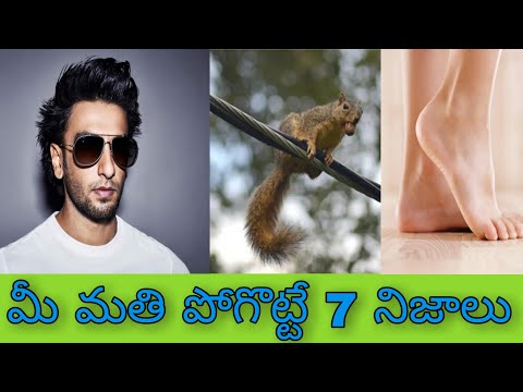 Yellisetti Satish Kumar Top7 interesting facts in telugu