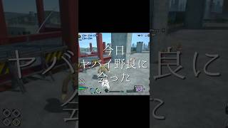 今日ヤバイ野良に会った
