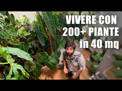 , title : 'VIVERE CON 200+ PIANTE in 40 mq | PLANT TOUR'