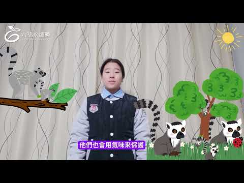 國中中文組亞軍 -2025六福永續獎: 最佳人氣影片