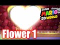 Super Mario 3D World World Flower 1 Switch Shock Circus All Stars 100 Gameplay Walkthrough
