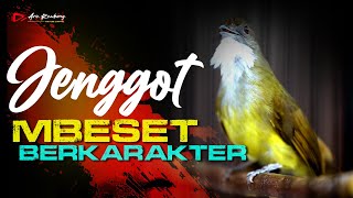 Download lagu MASTERAN CUCAK JENGGOT MBESET GACOR BERKARAKTER mp3 Download lagu MASTERAN CUCAK JENGGOT MBESET GACOR BERKARAKTER mp3