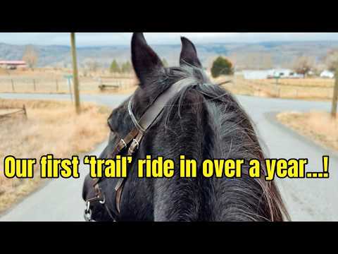 It’s been a while since our last ride - Rudnik made it clear he was NOT happy about having to work…