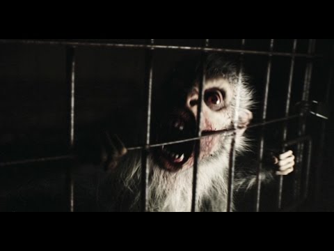 [REC] 4 Apocalypse (Clip 'Zombie Monkey')