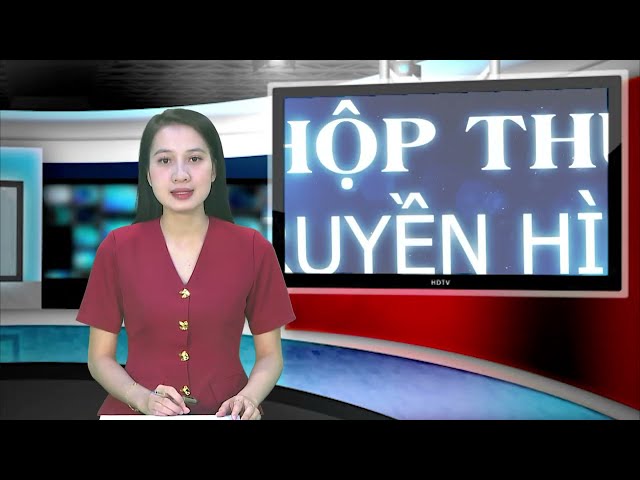 NQ205 VKSND KHU VỰC 5 THÀNH PHỐ ĐÀ NẴNG