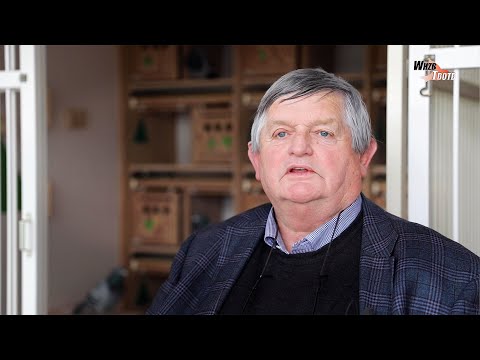 WHZB/TBOTB 2019 Winners - 1st Acepigeon Marathon ZLU: Jo van Schijndel & Sons (with English subs)