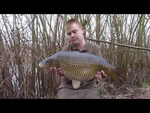 SCTV Episode 30: A Year On YouTube Highlights!