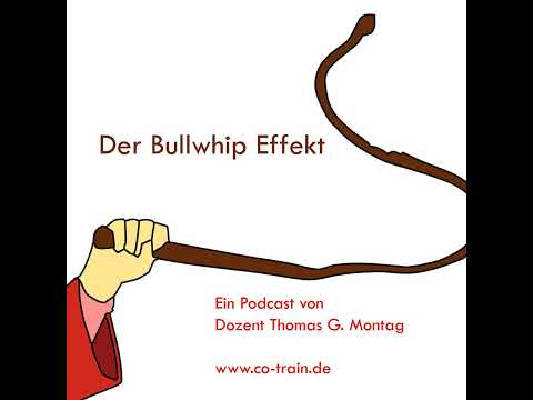 Wirtschaft Einfach! Der Bullwhip Effekt