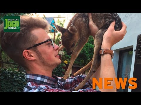 Schalldämpfer in Hessen, Aufreger der Woche, Kitze ausgemäht u.w. – DJZ News 24/2017