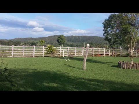 Fazenda á venda em Goiás 532 hectares