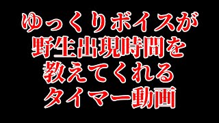 【ポケモンユナイト】野生ポケモン出現時間をゆっくりボイスが教えてくれるタイマー【ゆっくり音声】