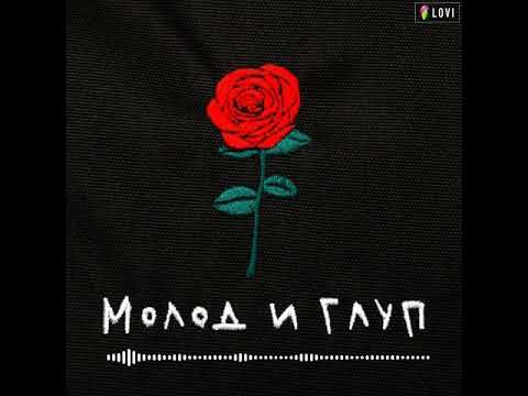 Свитшот молод и глуп. Молод и глуп. Надпись молод и глуп. Он молод и глуп. Он молод и глуп.