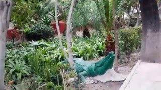 preview picture of video 'Parque Benito Juárez en San Miguel de Allende, Guanajuato'