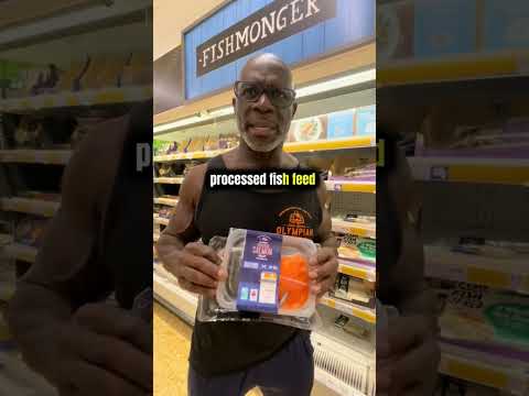 Wild vs Regular Salmon: Health Benefits Revealed #eddieabbew #abbewcrew