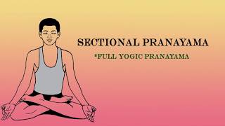 Yoga For COVID 19: Sectional Breathing