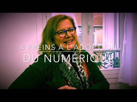 FR Des Big Data au Big Quali avec Daniel Bô — Dunod