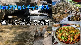 韓国Instagramで人気店 釜山の渓谷でオリプルコギを食べてみた。#釜山旅行 #釜山グルメ #Iamアジョシチャンネル