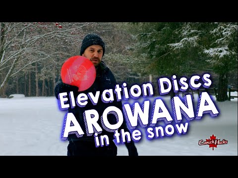 Elevation Discs Arowana | Throwing Plastic