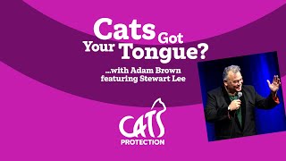 Cats Got Your Tongue?