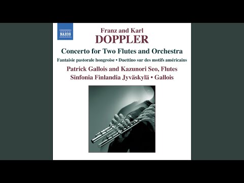 Concerto for 2 flutes in D Minor: III. Allegro