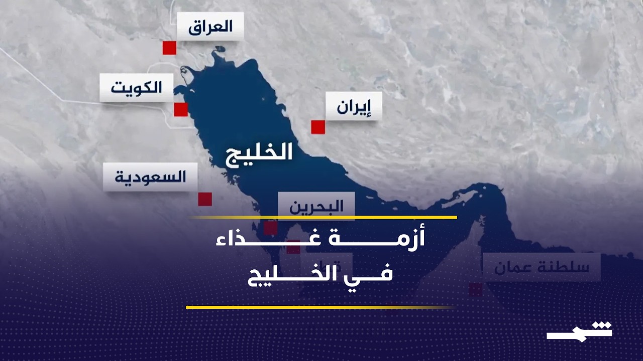 فيديو | أزمة شحن وتأمين تهدد المخزون الغذائي في دول الخليج
