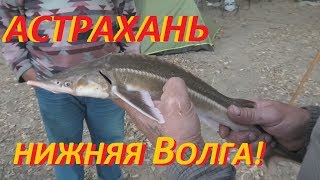 Ссылка