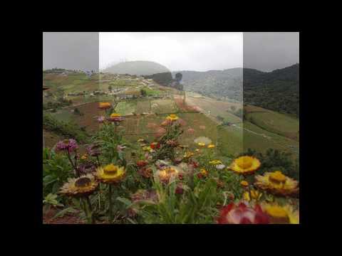 Tsheej Vwj Vol 3   03 Tseem tos koj txhua lub caij