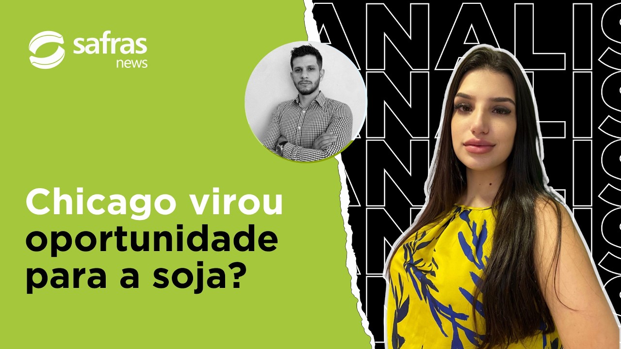 Rafael Silveira analisa recuperação de Chicago e perspectivas para o mercado da soja