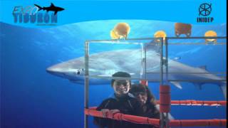 DIA 2 Expo Tiburon64