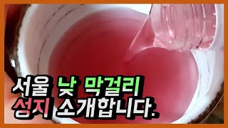 서울 낮 막걸리 성지 소개합니다! (서울 막걸리 맛집, 서울 맛집, 서울 이색 술집, 고속터미널 맛집, 고속터미널 담은) [Seoul's Best Makgeolli Bar]