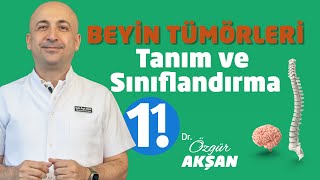 Beyin Tümörleri | 1.1 Beyin Tümörlerinde Tanım ve Sınıflandırma | Dr Özgür Akşan