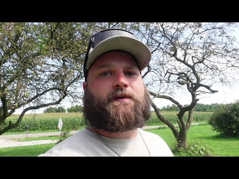 Toro SGR 13 stump grinder review