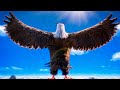 Meet The Mighty Eagle The Angry Birds Movie