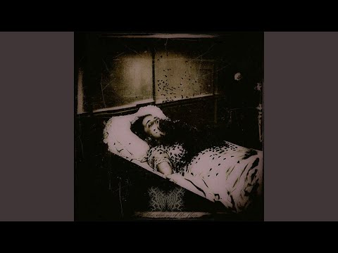 The Visions of the Flies